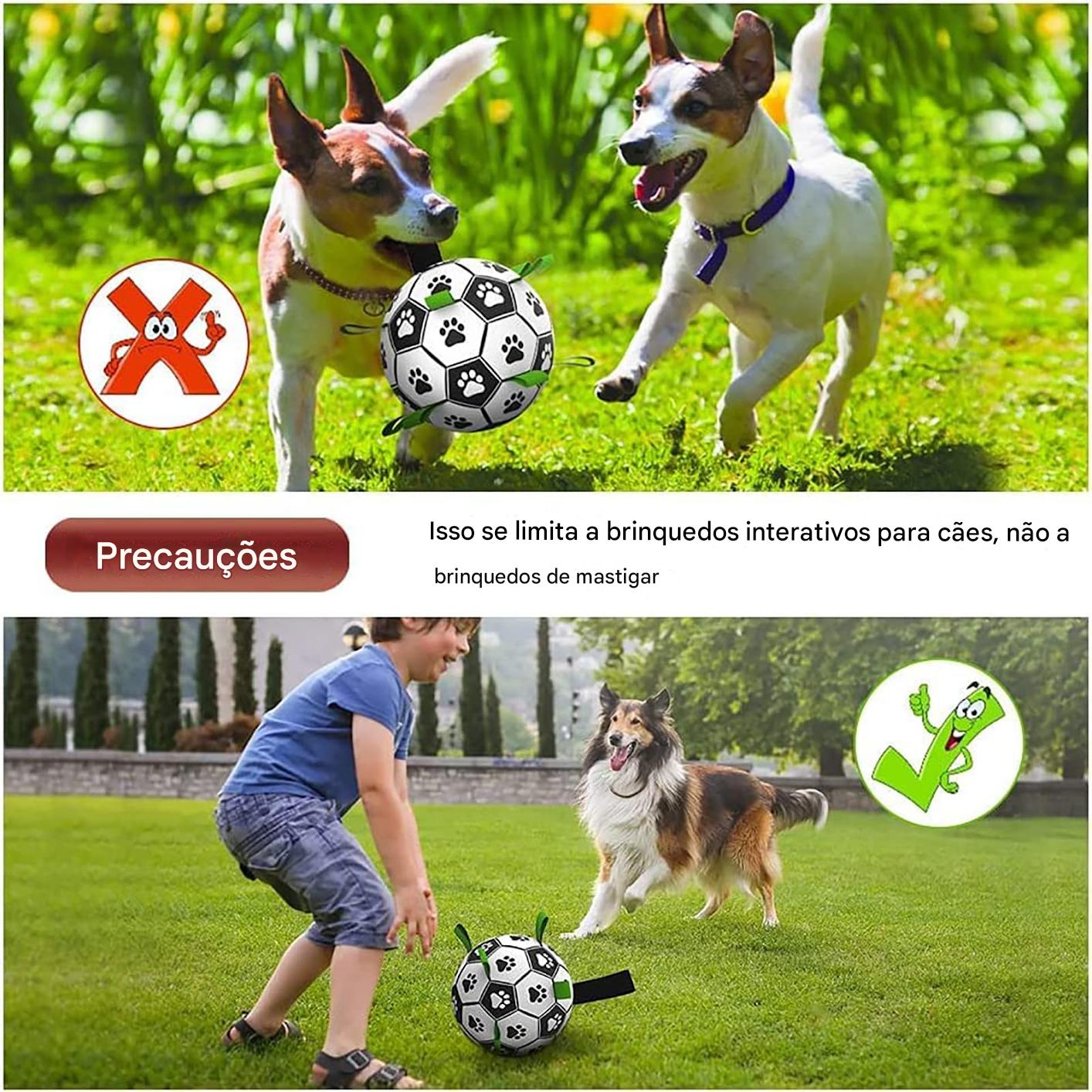 Bola de futebol interativa inflável para treinamento de cães.